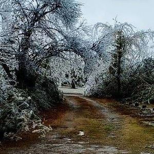 Meet your Posher, Anne